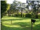 34 Wellwood Road, Drouin VIC 3818