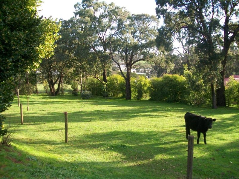 34 Wellwood Road, Drouin VIC 3818