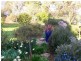34 Wellwood Road, Drouin VIC 3818