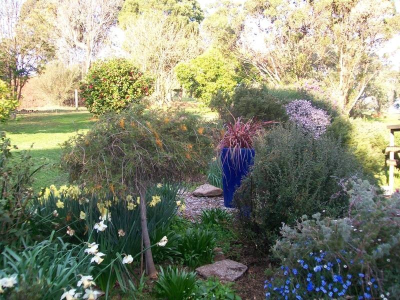 34 Wellwood Road, Drouin VIC 3818