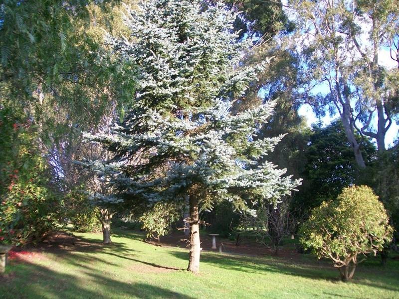34 Wellwood Road, Drouin VIC 3818