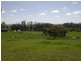 16 Station Street, Neerim South VIC 3831