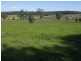 286 Williamsons Road, Nilma North VIC 3821