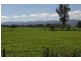 575 Morrison Road, Labertouche VIC 3816
