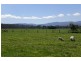 575 Morrison Road, Labertouche VIC 3816