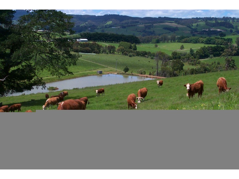 3102 Korumburra Warragul Road, Warragul VIC 3820