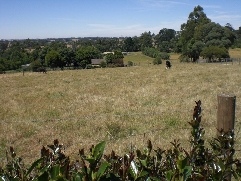 11 Simper Court, Drouin VIC 3818