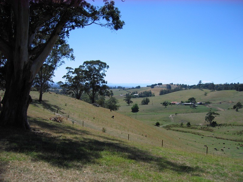 2105 Lardners Road, Tetoora Road VIC 3821