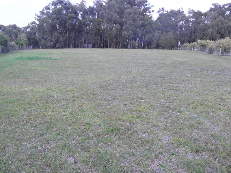 10 Hague Court, Drouin VIC 3818