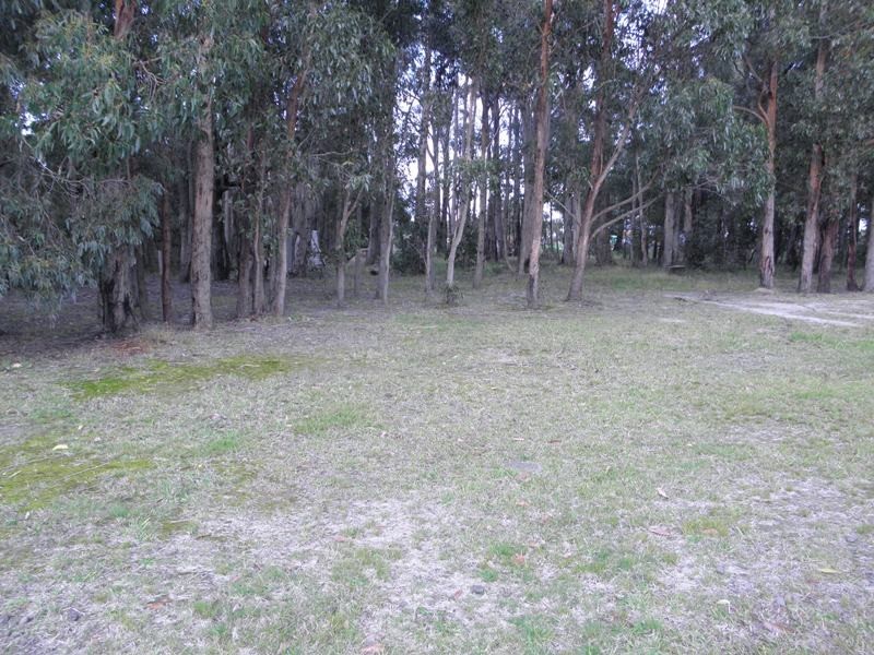 10 Hague Court, Drouin VIC 3818