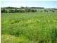 70 Kelly Road, Athlone VIC 3818