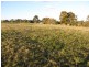 Lot 5,  Oxley Court, Drouin VIC 3818