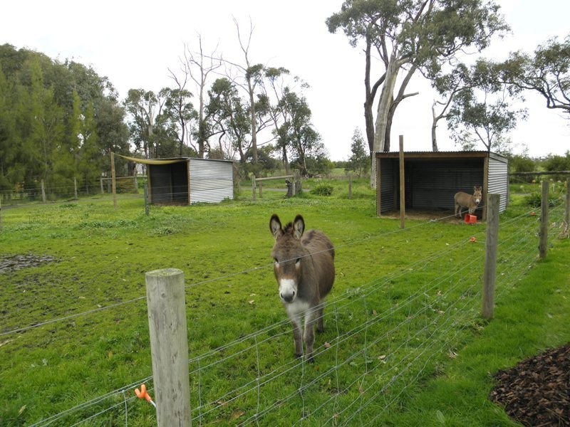 34 Newell Road, Longwarry VIC 3816