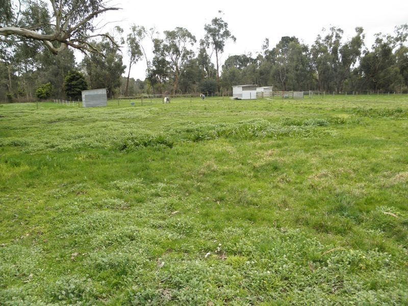 34 Newell Road, Longwarry VIC 3816