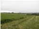 Lot 4 Armours Road, Warragul VIC 3820