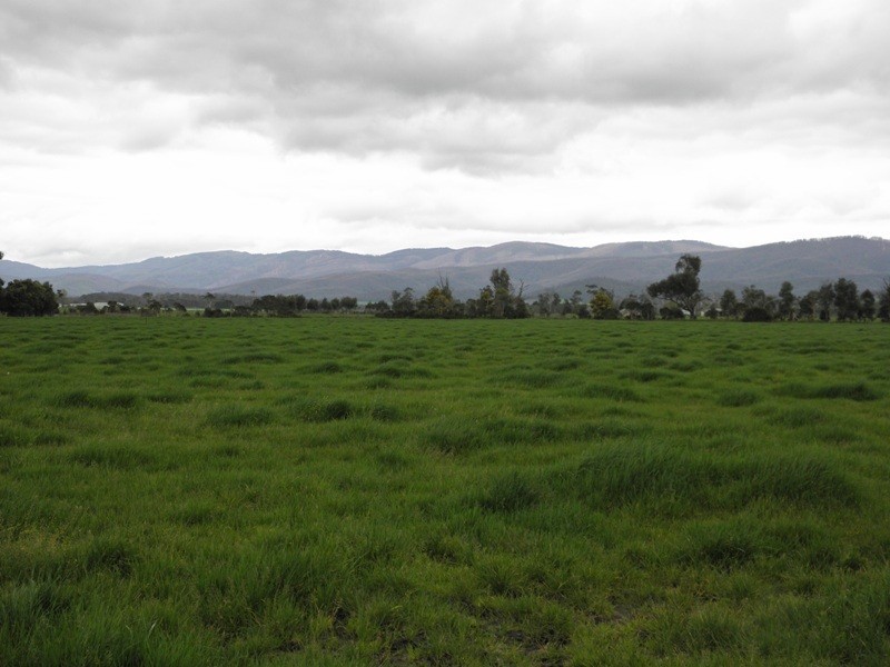 94 Kydd Road, Labertouche VIC 3816