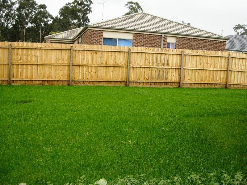 31 Miller Close, Drouin VIC 3818