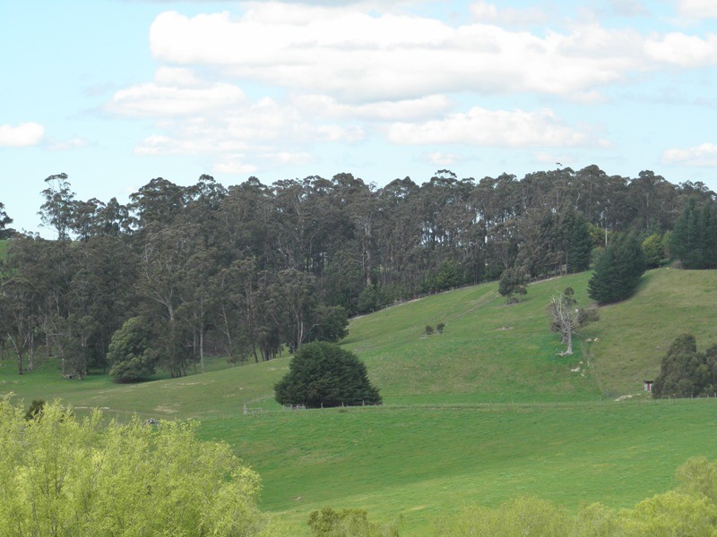1718 Main Neerim Road, Neerim South VIC 3831