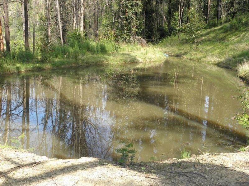 45 Bayview Road, Jindivick VIC 3818