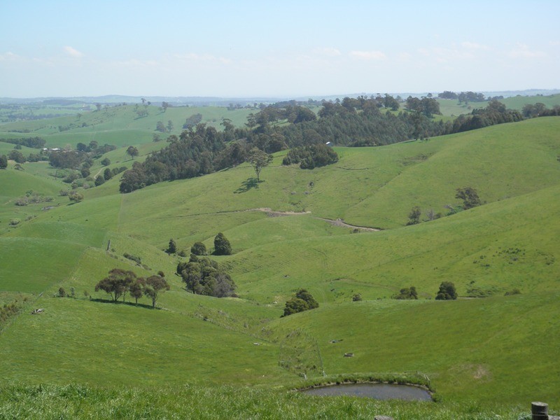 2437 Korumburra Warragul Road, Tetoora Road VIC 3821