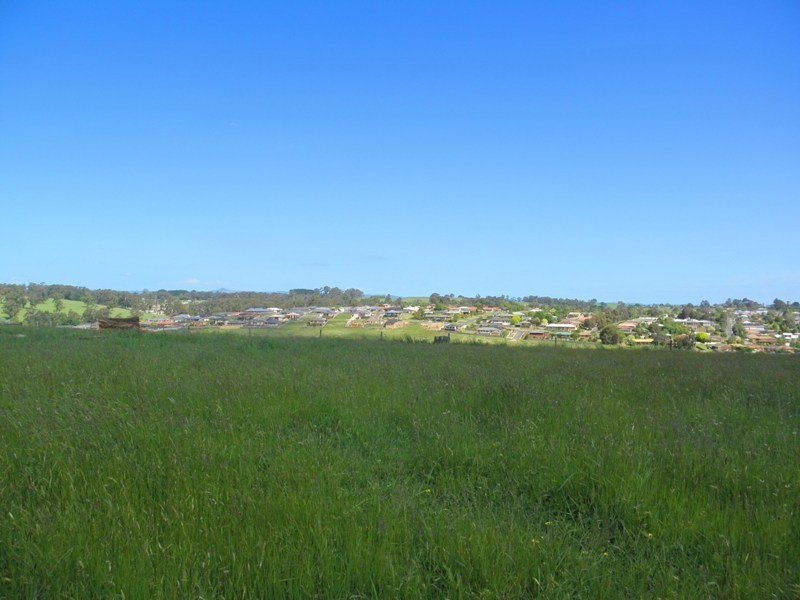 130 Hopetoun Road, Drouin VIC 3818