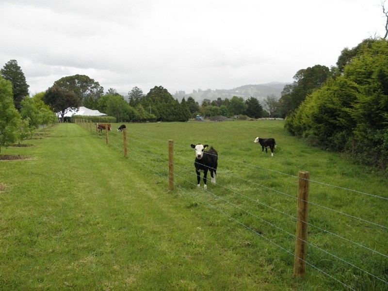 11 Powelltown Road, Neerim Junction VIC 3821