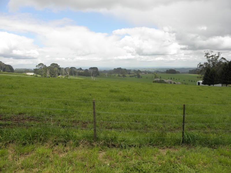 11 Powelltown Road, Neerim Junction VIC 3821