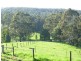 425 Neerim East Road, Neerim South VIC 3831