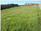 Lot 318 Stoffers Street, Warragul VIC 3820