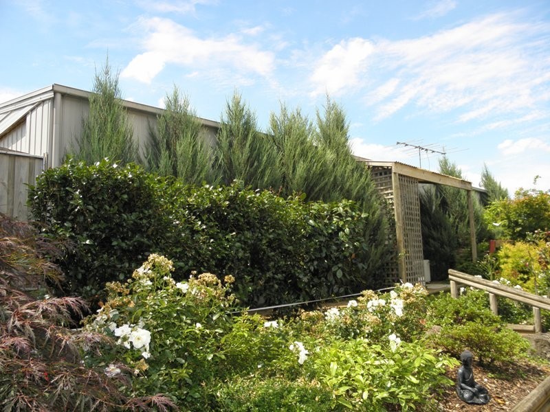 9 Hadlow Street, Warragul VIC 3820
