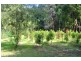 43 Nangara Road, Jindivick VIC 3818