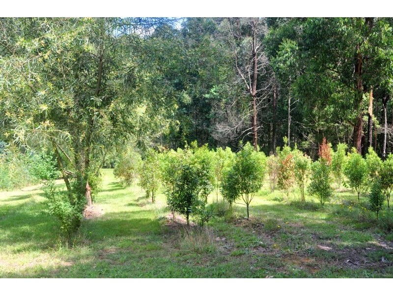 43 Nangara Road, Jindivick VIC 3818