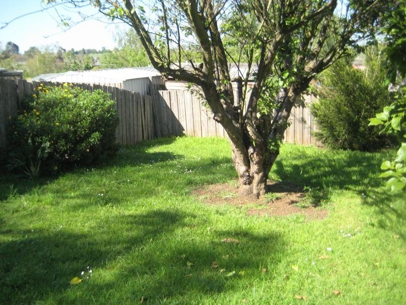 16 Boronia Street, Drouin VIC 3818