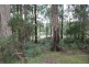 90 Stolls Road, Buln Buln East VIC 3821
