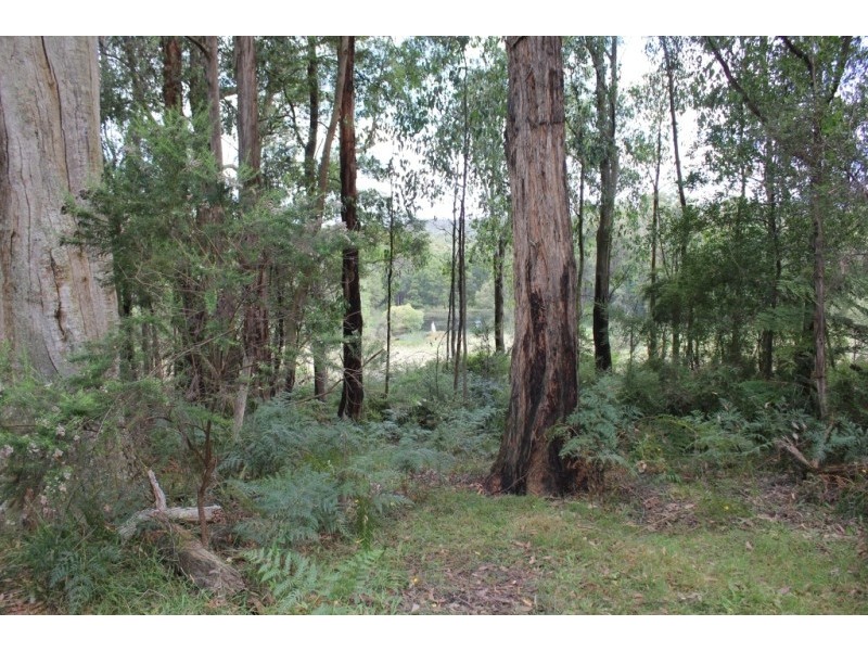 90 Stolls Road, Buln Buln East VIC 3821