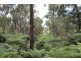 90 Stolls Road, Buln Buln East VIC 3821