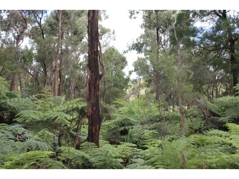 90 Stolls Road, Buln Buln East VIC 3821