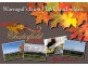 Lot 248,  Mills Road, Warragul VIC 3820