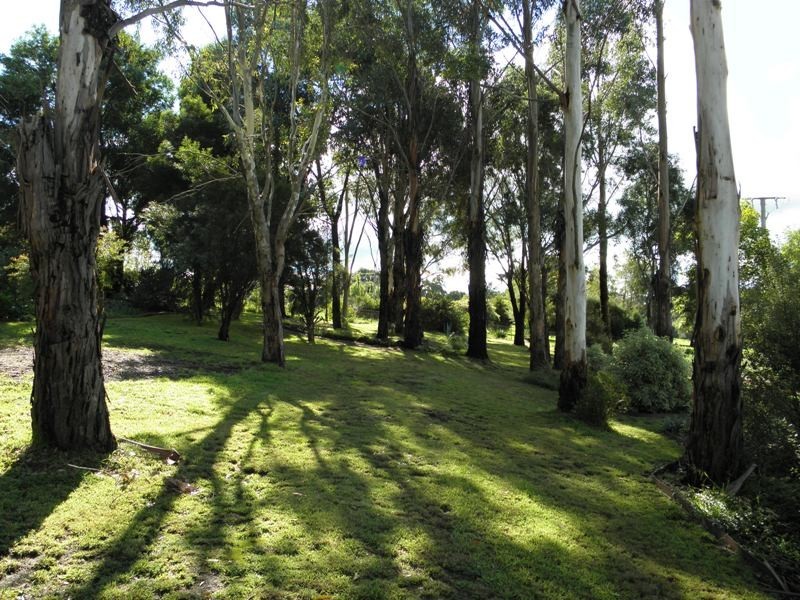 19 Streitbergs Road, Darnum VIC 3822
