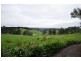 25 Hutchison Road, Jindivick VIC 3818