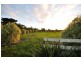 815 Invermay East Road, Drouin South VIC 3818