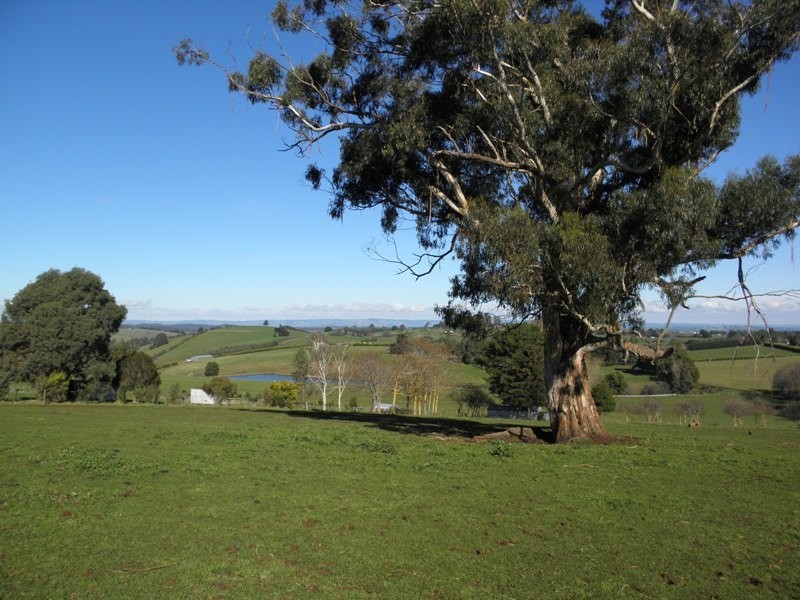 36 Hamono Road, Neerim VIC 3831