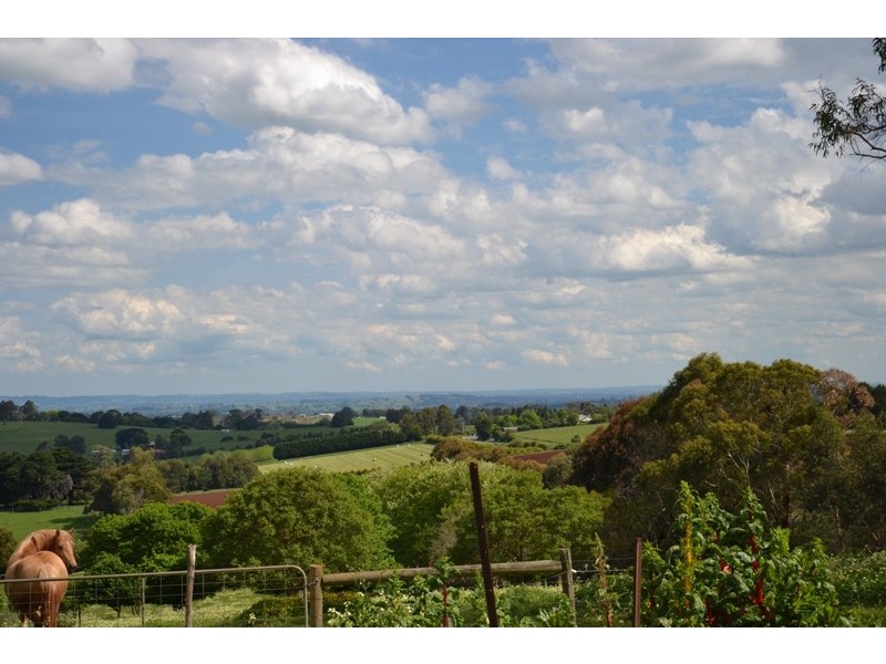 36 Hamono Road, Neerim VIC 3831