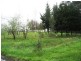 1370 Bloomfield Road, Neerim South VIC 3831
