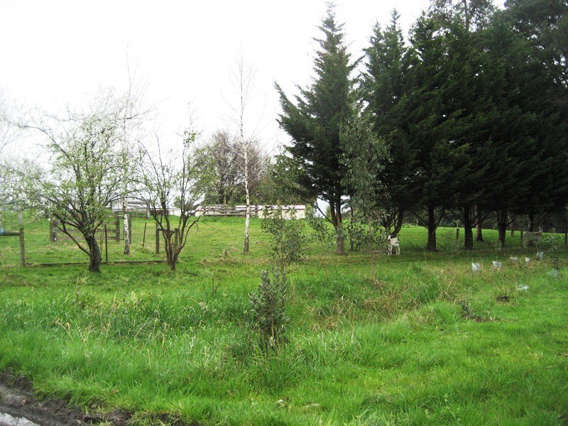 1370 Bloomfield Road, Neerim South VIC 3831
