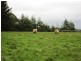 1370 Bloomfield Road, Neerim South VIC 3831