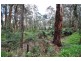49 Fraser Spur Road, Neerim South VIC 3831