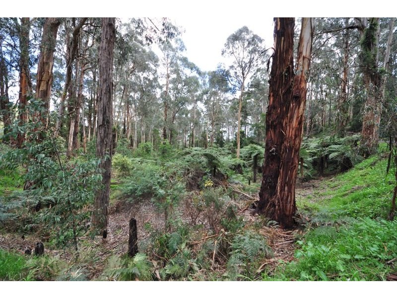 49 Fraser Spur Road, Neerim South VIC 3831