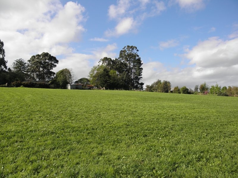 8 Fernery Boulevard, Warragul VIC 3820