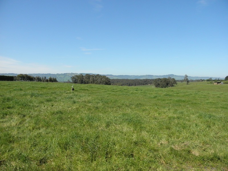 306 Stuhrs Road, Darnum VIC 3822